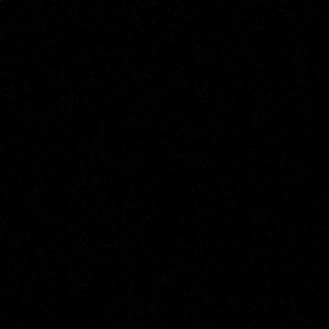 Meet your Posher, Sophie